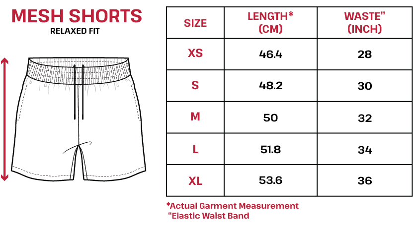 Varsity Mesh Shorts