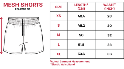 Varsity Mesh Shorts